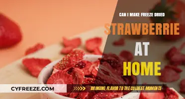 Homemade Freeze-Dried Strawberries: A Simple Guide