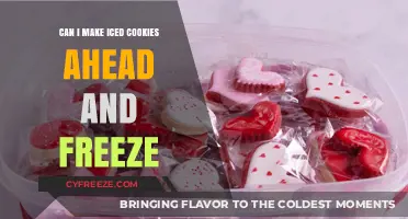 Ahead and Freeze: The Ultimate Guide to Iced Cookies Storage