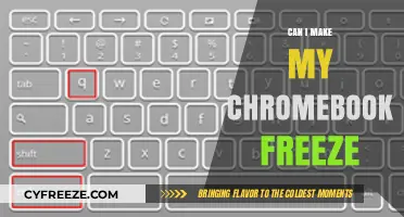 Troubleshooting Chromebook Freezes: Tips and Tricks to Fix the Issue