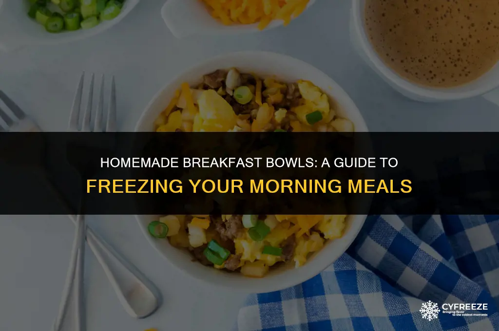 can i make my own breakfast bowls to freeze