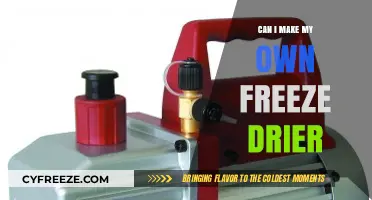 DIY Freeze Drying: A Practical Guide to Making Your Own Freeze Dryer