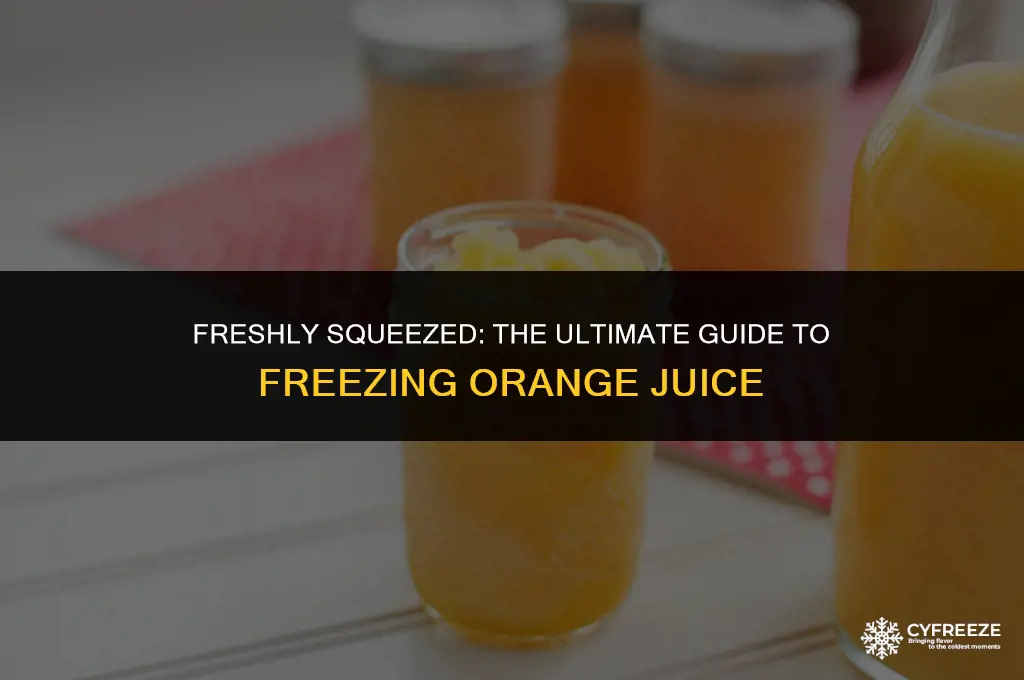 can i make organge juice and store it in freeze