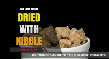 Combining Freeze-Dried and Kibble: A Nutritional Guide for Pet Owners