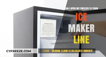 Quick Fix: Thawing Your Freezer's Ice Maker Line Made Easy