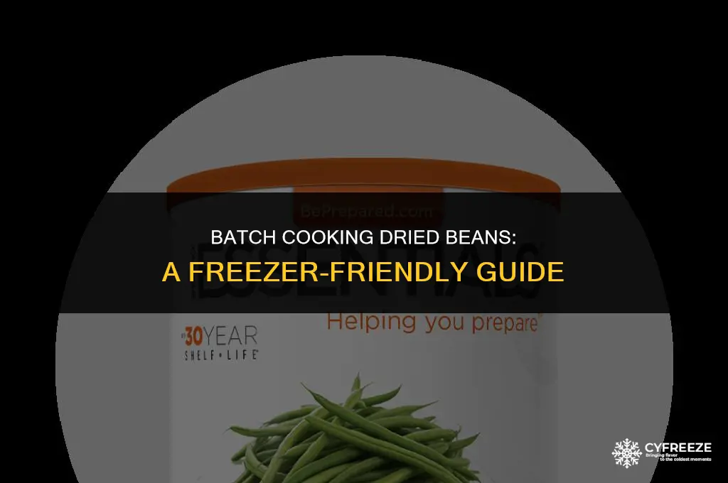 can i pre cook dried beans for freezing
