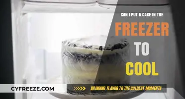 Quick Chill: The Do's and Don'ts of Freezing Your Cake