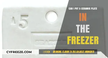 Freezing Ceramic Plates: A Complete Guide to Safe Storage