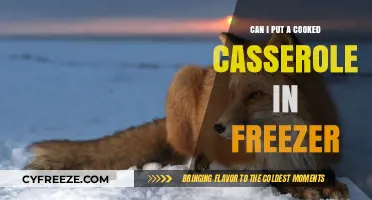 Freeze Your Casserole: A Guide to Safe and Delicious Reheating