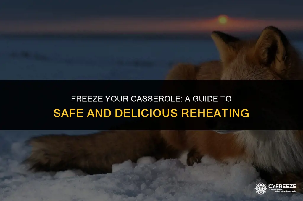 can i put a cooked casserole in freezer
