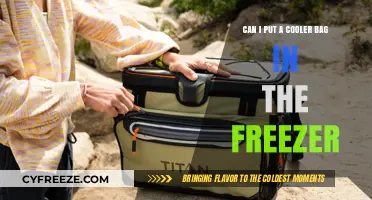 Freeze Your Cooler Bag? A Guide to Safe Food Storage Solutions