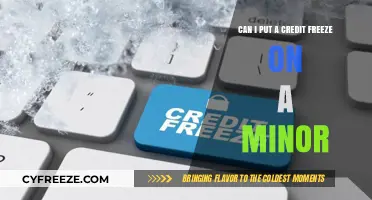 Protecting Minors' Credit: A Guide to Freezing Their Credit Reports