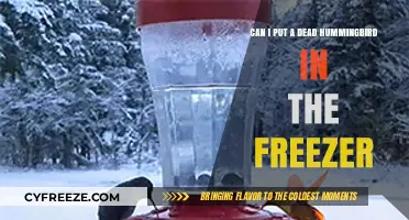 Preserving Nature's Beauty: Freezing a Deceased Hummingbird