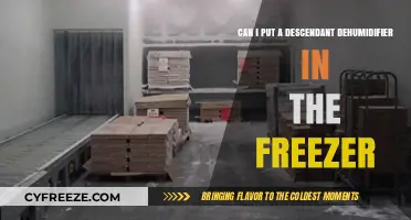 Dehumidifier Dilemma: Freezer Placement for Moisture Control