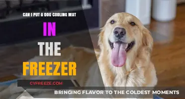 Chill Out: Freezing Dog Cooling Mats for Extra Relief