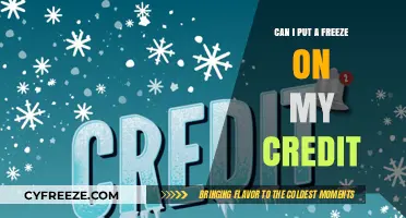 Safeguard Your Credit: How to Freeze Your Credit Report