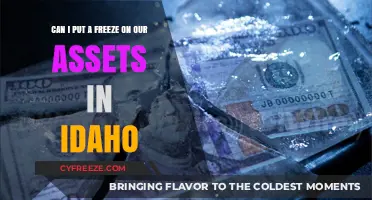 Navigating Financial Security: Can You Freeze Assets in Idaho?