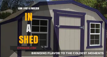 Shedding Light on Freezer Placement: A Comprehensive Guide