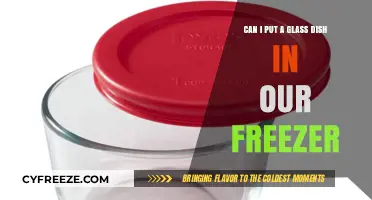 Safely Storing Glass Dishes in Your Freezer: A Complete Guide