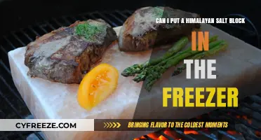 Chill or Not: Freezing Himalayan Salt Blocks - A Complete Guide
