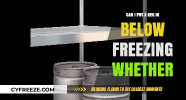 Chilling Your Keg: A Guide to Sub-Freezing Beer Storage