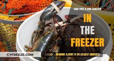 Freezing Live Lobsters: A Guide to Safe and Humane Practices