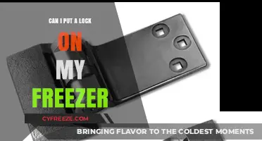 Secure Your Frozen Treasures: Freezer Locking Tips and Tricks