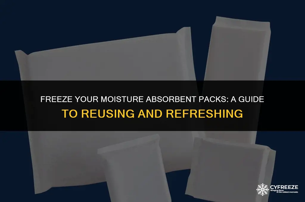 can i put a moisture absorbent pack in the freezer