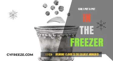 Freezing Pots: A Comprehensive Guide to Safe Storage