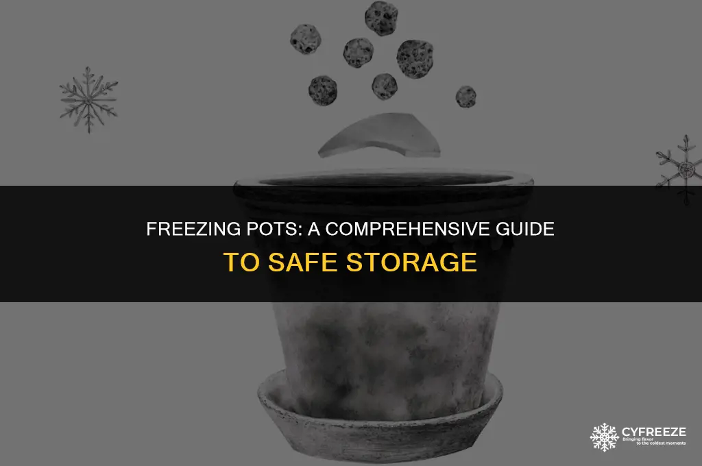 can i put a pot in the freezer