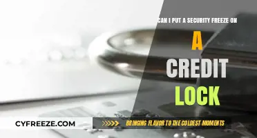 Securing Your Credit: The Complete Guide to Security Freezes and Locks