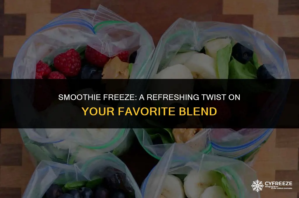 can i put a smoothie in the freezer