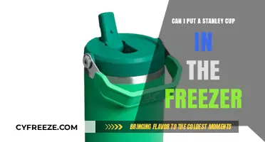 Chill or Spill: Freezing Your Stanley Cup - A Cool Idea?