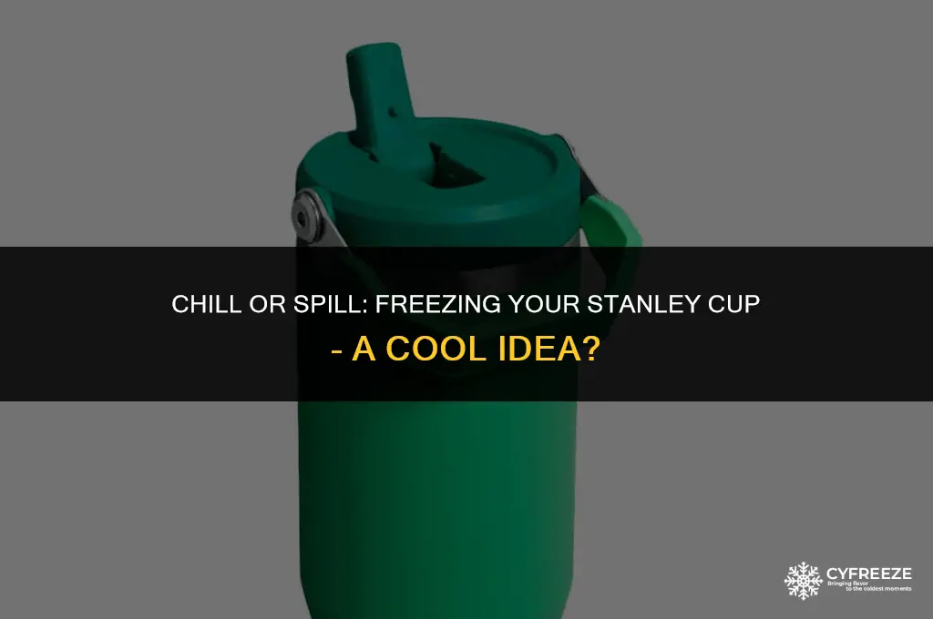 can i put a stanley cup in the freezer