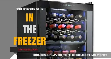 Chill or Not to Chill: Freezing Wine Bottles Explained