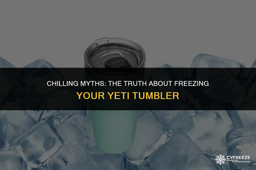 can i put a yeti in the freezer