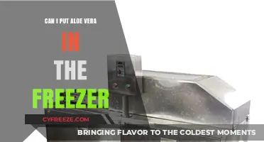 Aloe Vera in the Freezer: A Guide to Preserving Its Benefits