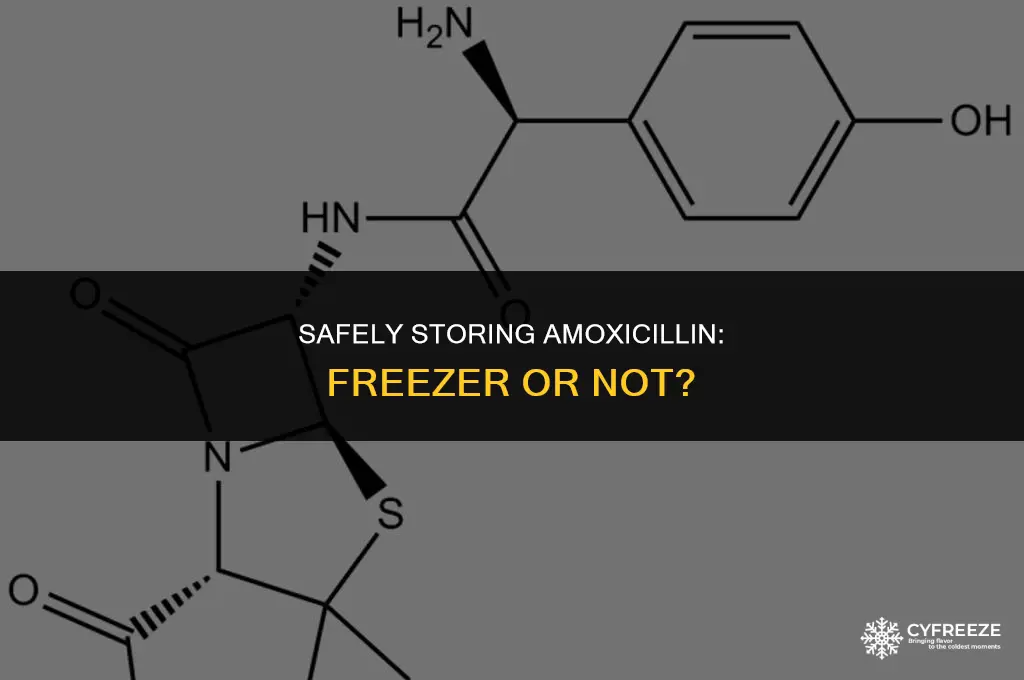 can i put amoxicillian on freezer