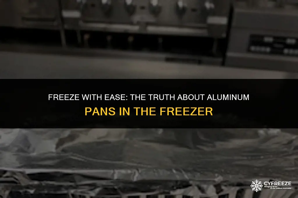 can i put an aluminum pan in the freezer