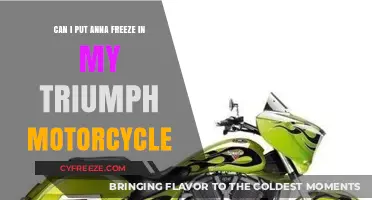 Anna Freeze in a Triumph Motorcycle: A Rider's Guide