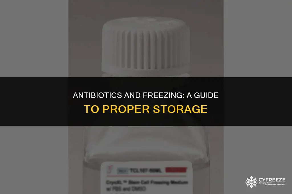 can i put antiboitics in the freezer