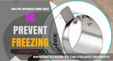Preventing Toilet Freezes: The Antifreeze Solution Explained