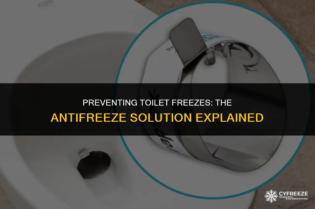 can i put antifreeze down toilet to prevent freezing