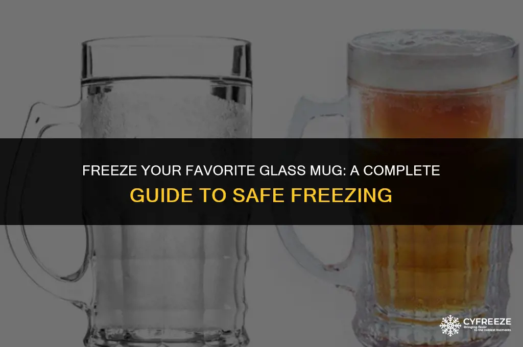 can i put any glass mug in the freezer
