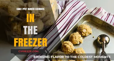 Freeze Your Baked Cookies: A Handy Guide to Cookie Storage