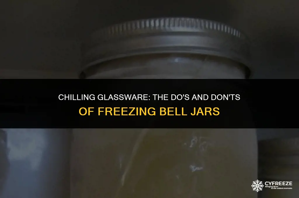 can i put bell jar in freezer