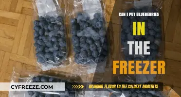 Freeze Your Blues Away: The Ultimate Guide to Freezing Blueberries