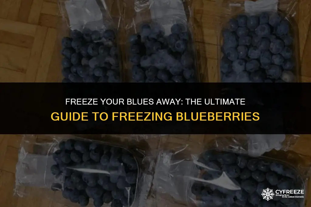 can i put blueberries in the freezer