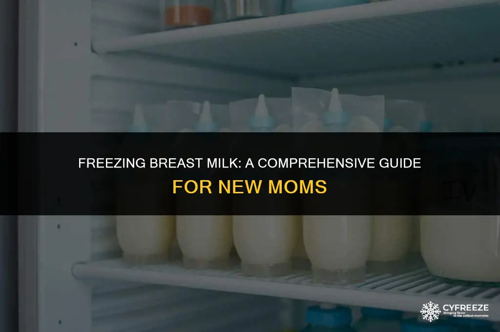 can i put breast milk directly in the freezer