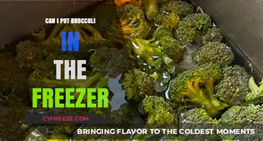 Freezing Broccoli: A Handy Guide to Preserve Its Freshness
