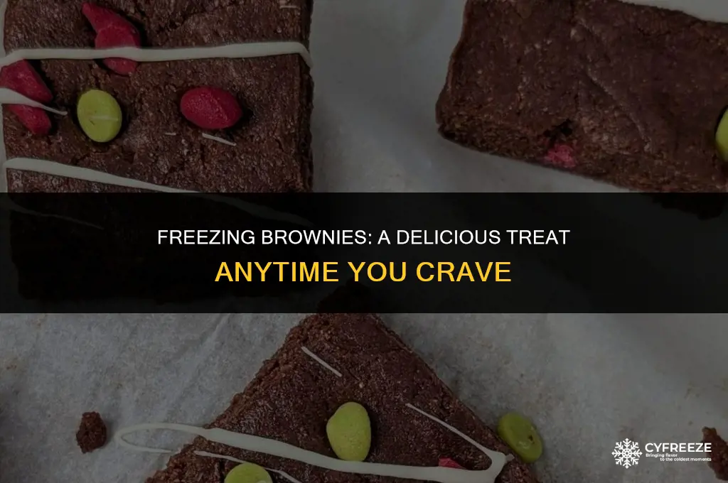 can i put brownies in the freezer